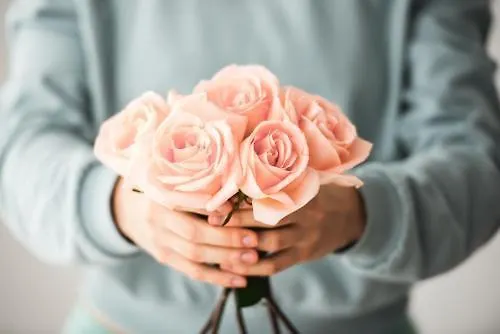 Avanti Lifestyle - Only Adults