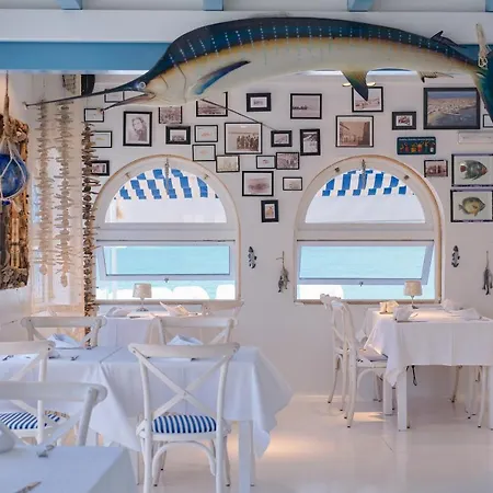 Hotel Avanti Lifestyle - Only Adults