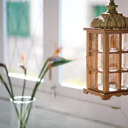 Avanti Lifestyle - Only Adults 4*