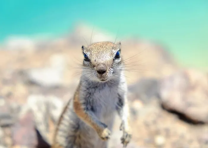 Hotel Avanti Lifestyle - Only Adults