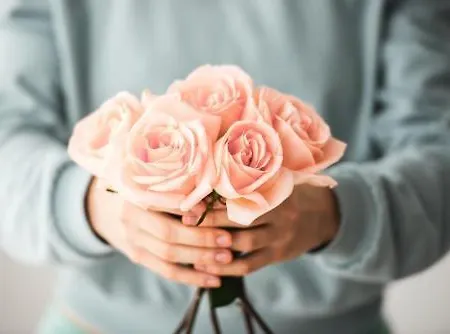 Avanti Lifestyle - Only Adults