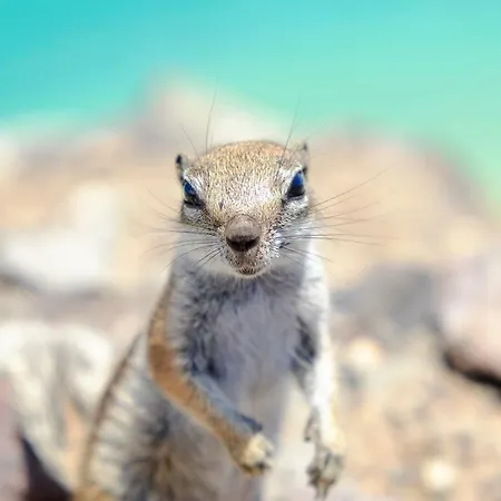 Hotel Avanti Lifestyle - Only Adults