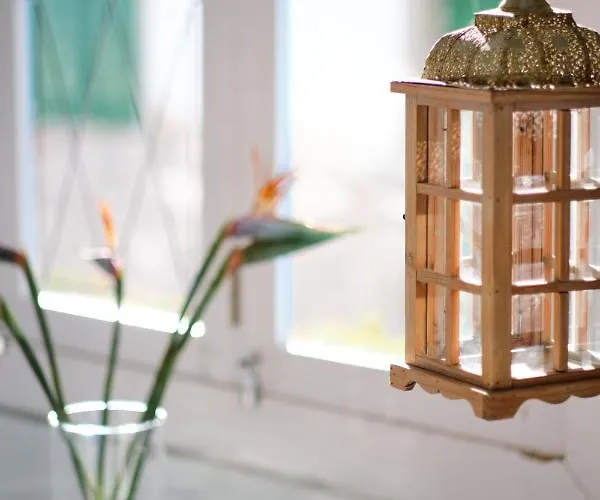 Avanti Lifestyle - Only Adults 4*