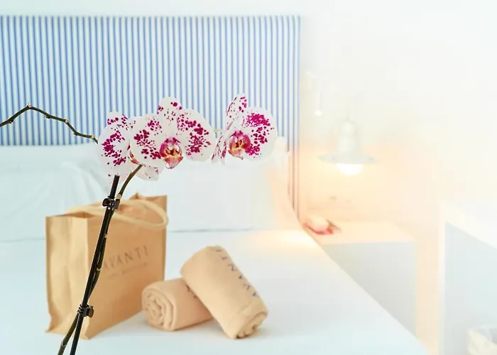 Avanti Lifestyle - Only Adults